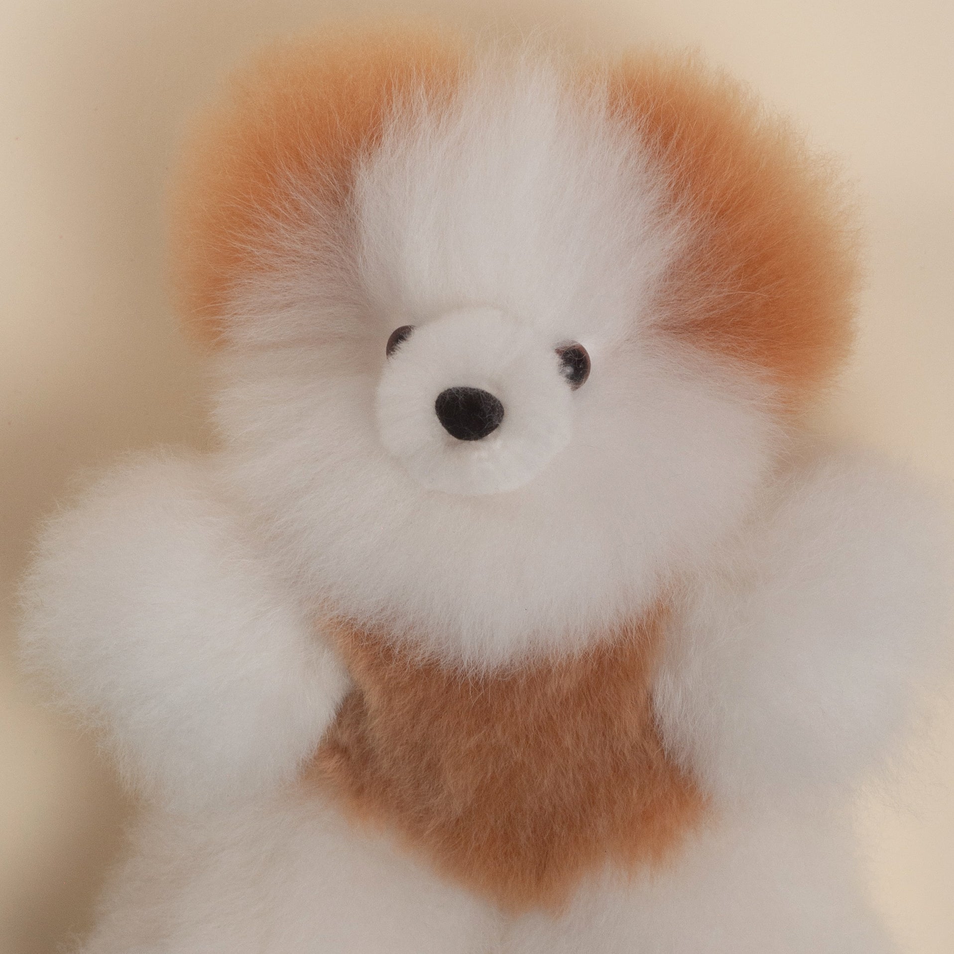 Handmade Teddy Bear made with Alpaca Fur- Beige & White